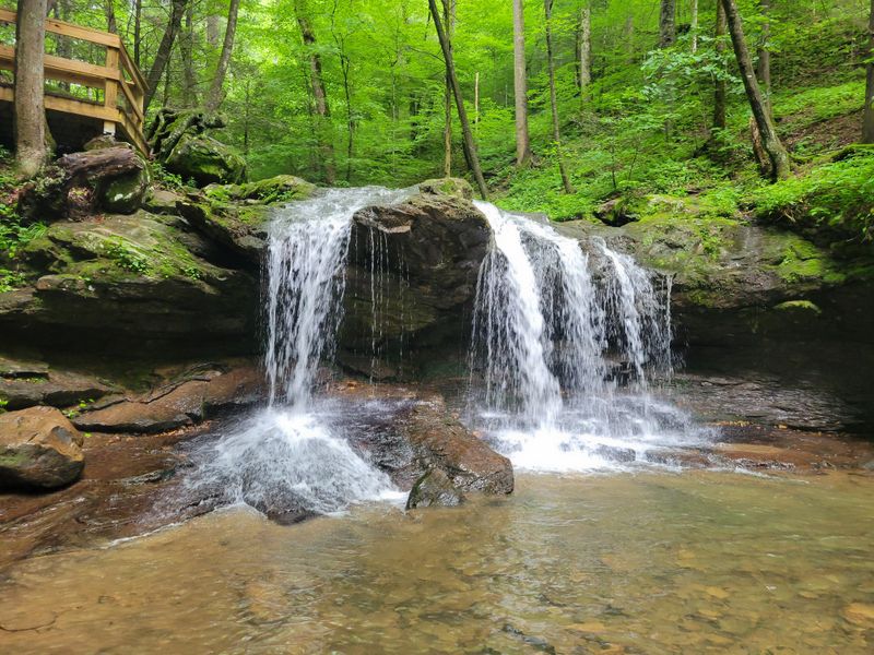 A Different Side of Tennessee