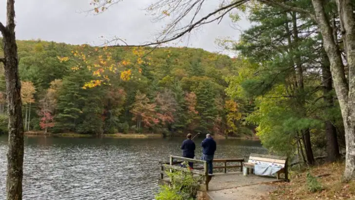 This secluded state park in West Virginia feels detached from the busier outdoor hubs