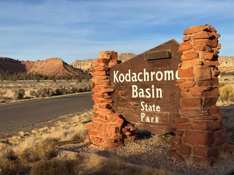 Orientation and Essential Info