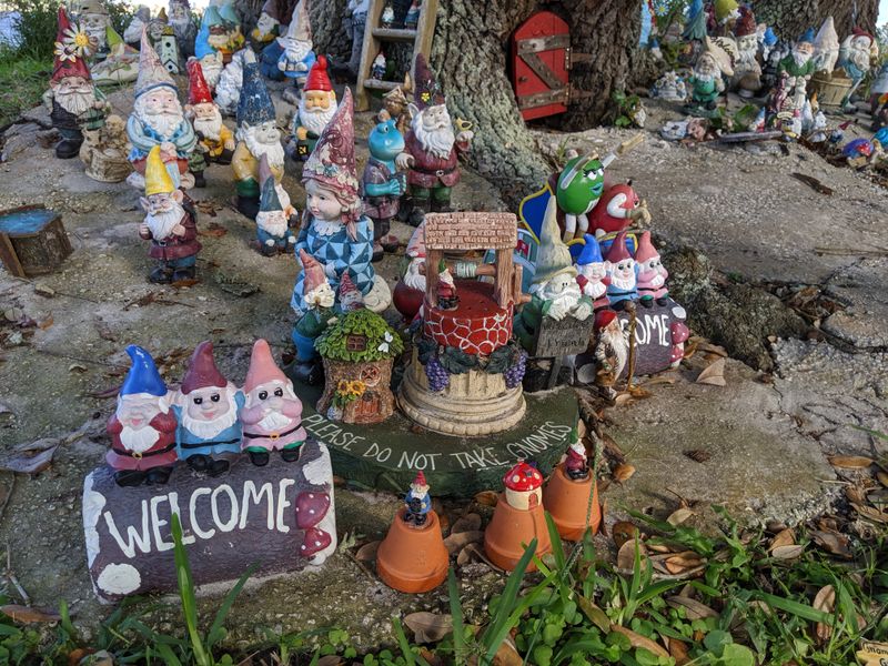 The Enchanted Trail