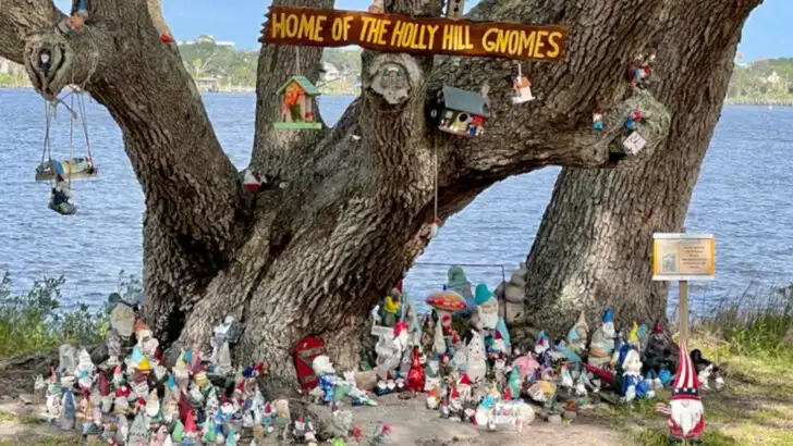 This tiny Florida park feels like a hidden gnome village brought to life