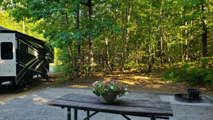 This underrated state park in North Carolina feels far removed from the usual tourist stops