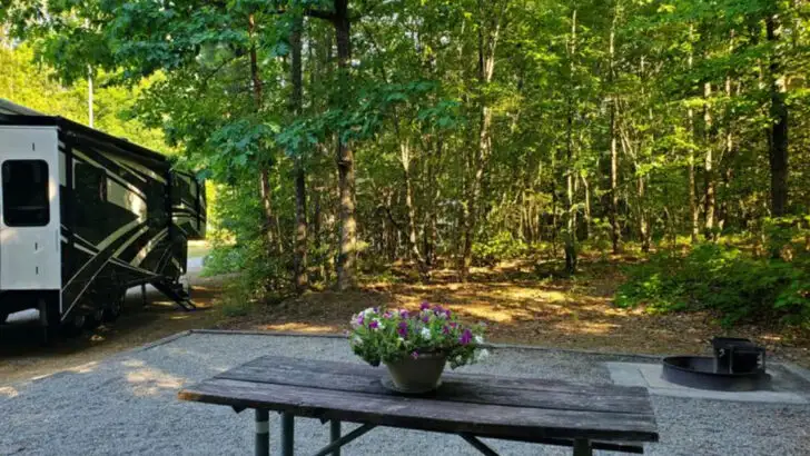 This underrated state park in North Carolina feels far removed from the usual tourist stops