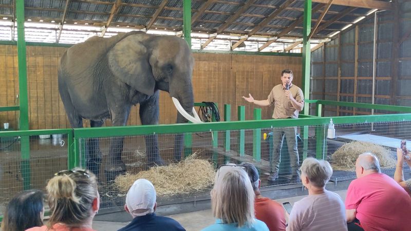 Educational Encounter: Touch, Learn, and Connect