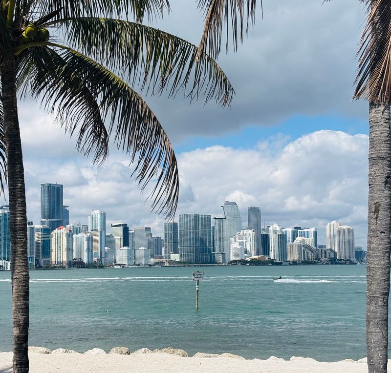 Seek Rooftops and Scenic Views