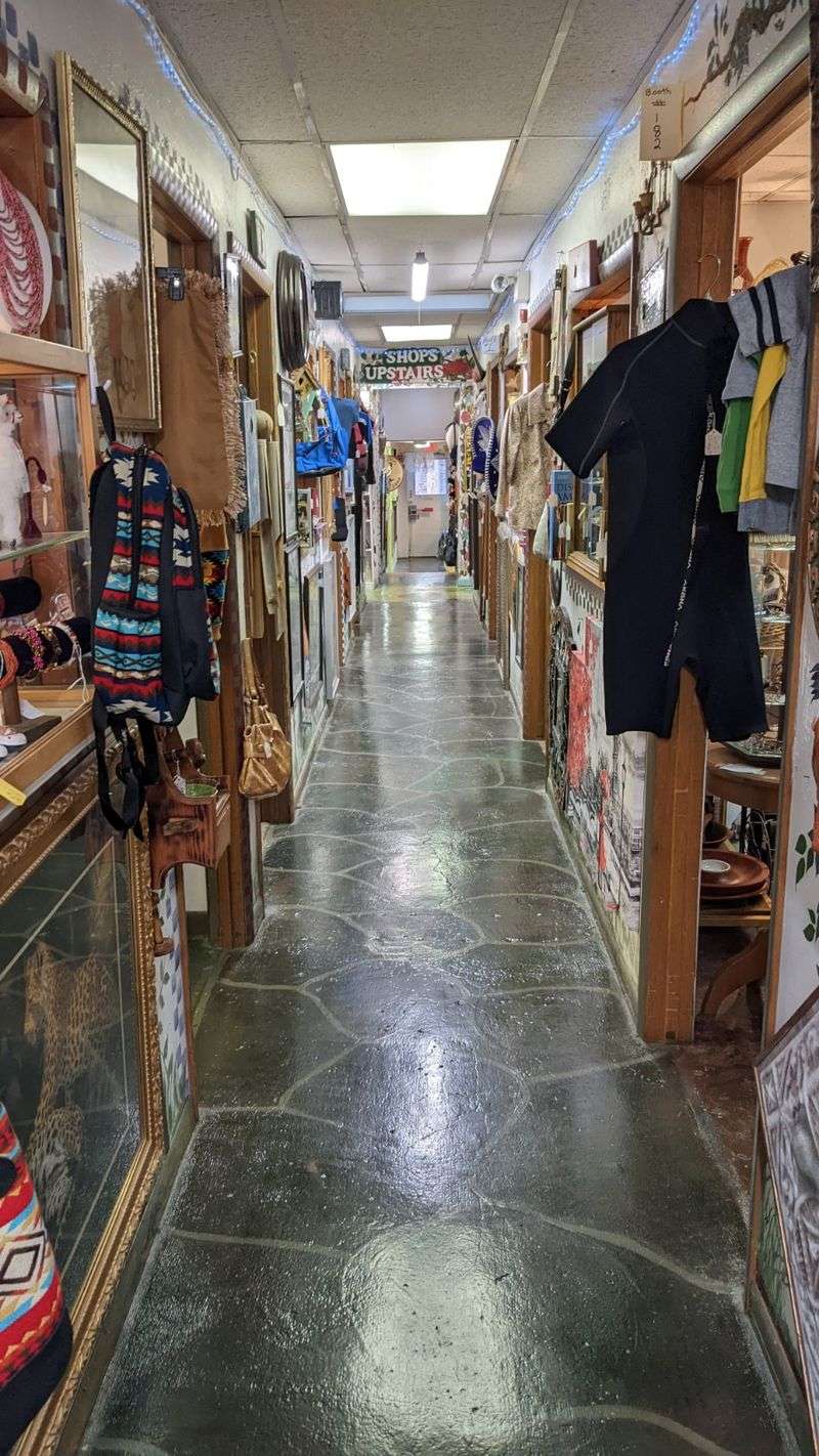 The Classy Flea - Branson