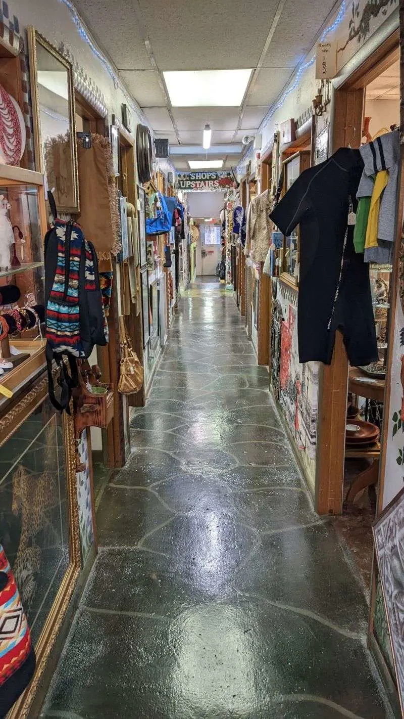 The Classy Flea - Branson