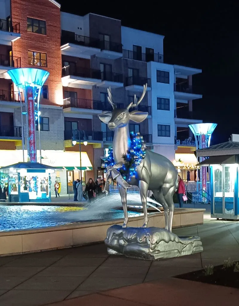 Parking, Access, and Comfort