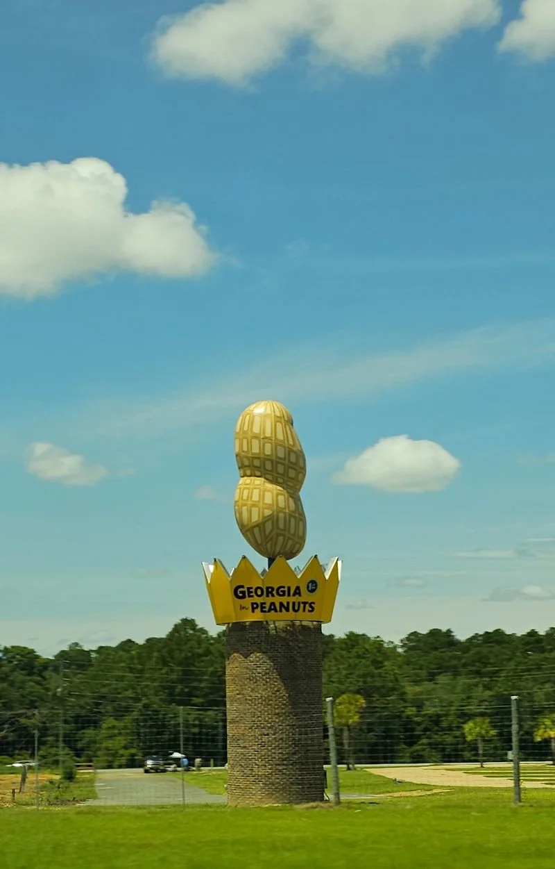 World's Largest Peanut