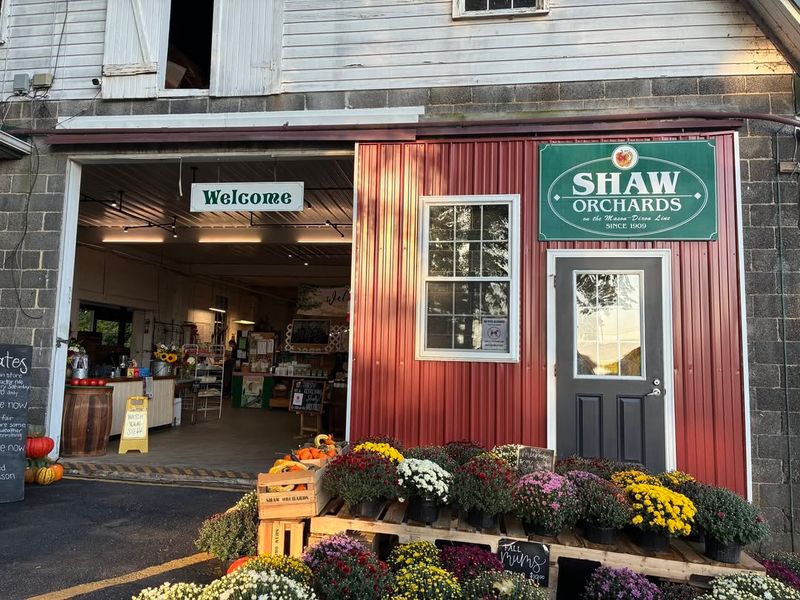 Seasonal Farm Stands and Local Flavor
