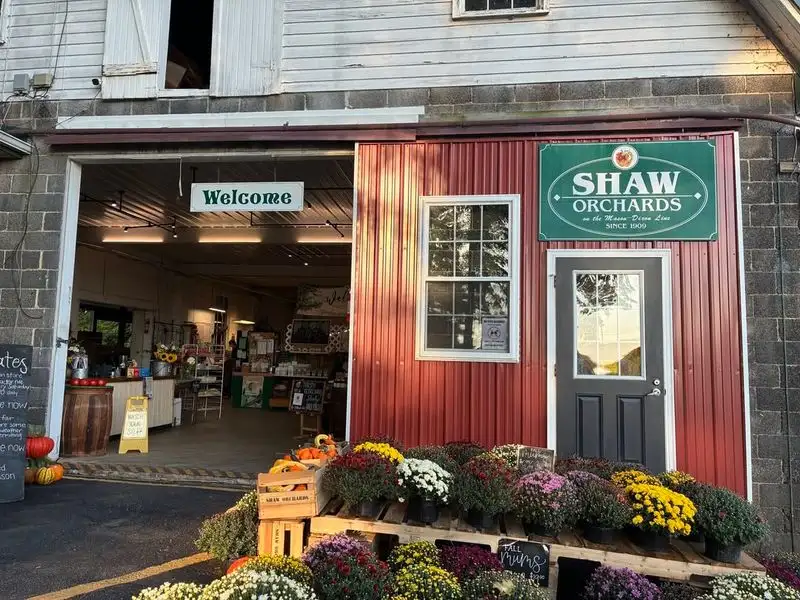 Seasonal Farm Stands and Local Flavor