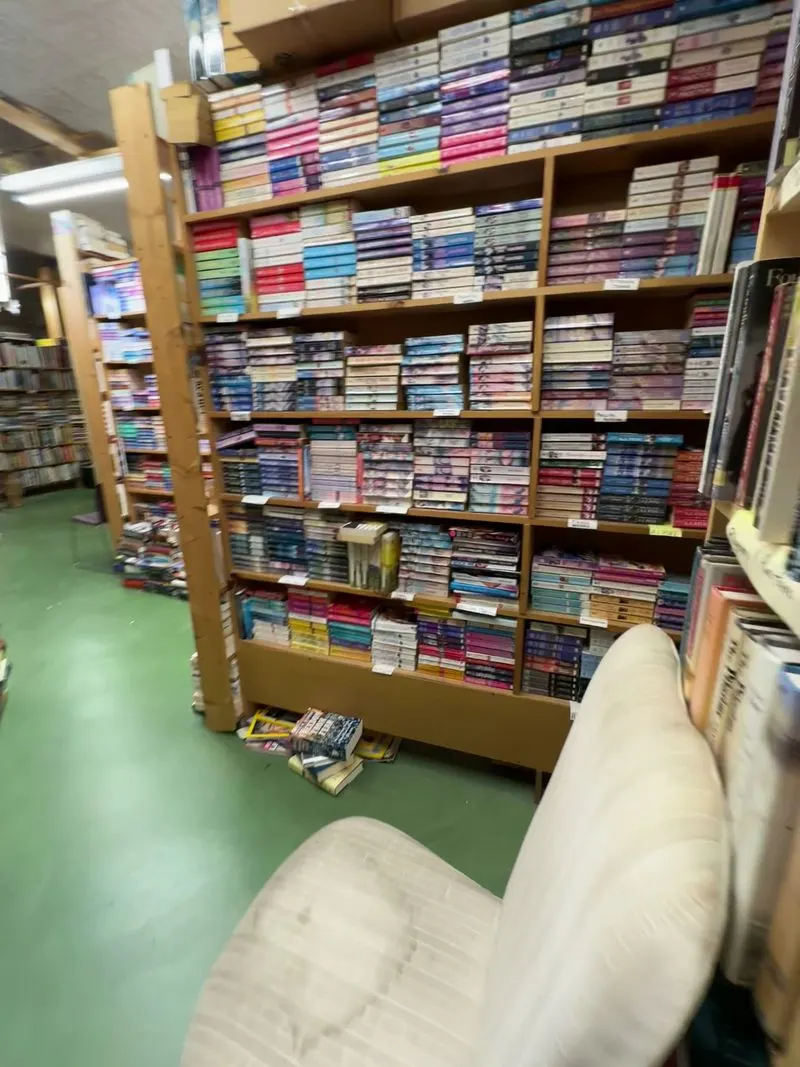 Tips for Timing Your Visit