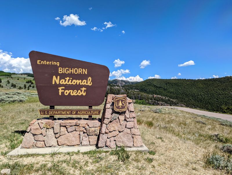 Bighorn National Forest