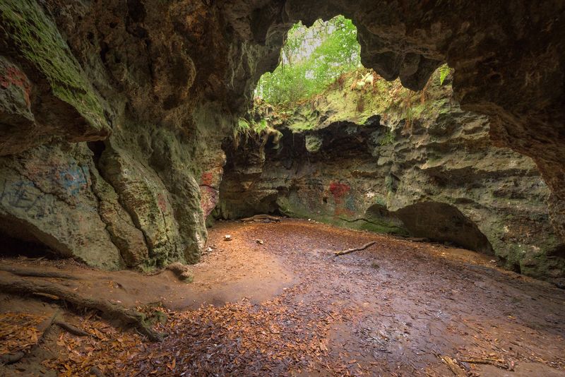 Karst Geology Explained on the Trail