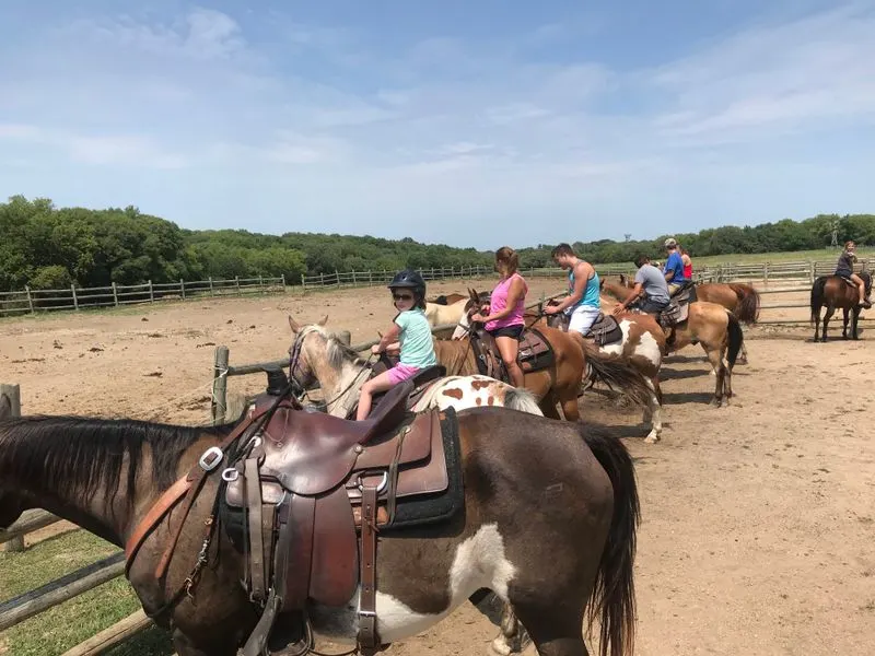 Practical tips: budget, timing, and what to pack