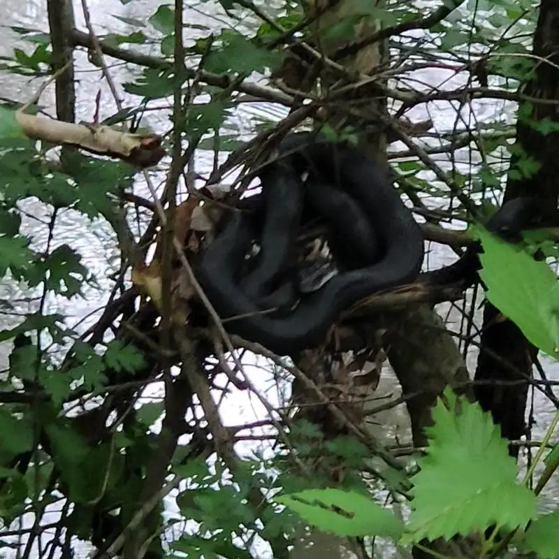 Wildlife and birdwatching moments