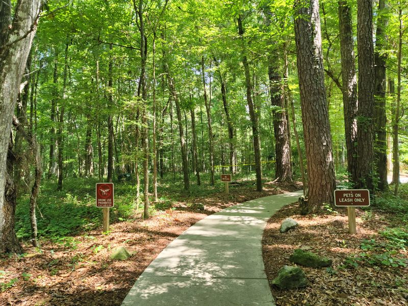 Devil’s Millhopper Geological State Park