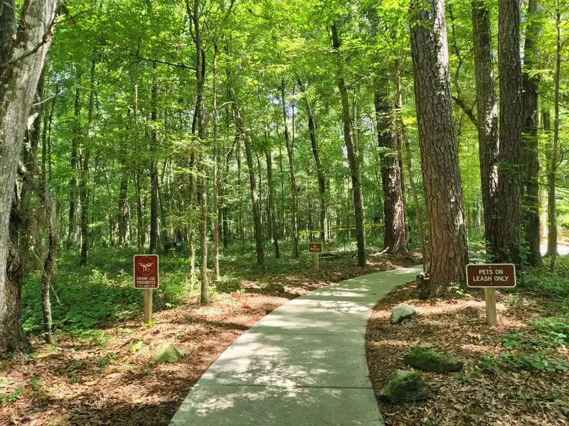 Devil&rsquo;s Millhopper Geological State Park