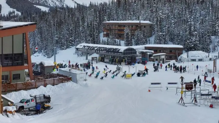 Travelers are heading north this year for guaranteed snow and these towns are proving to be great hosts