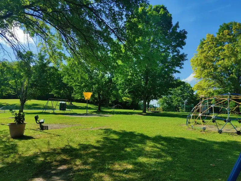 Frear Park and neighborhood greens