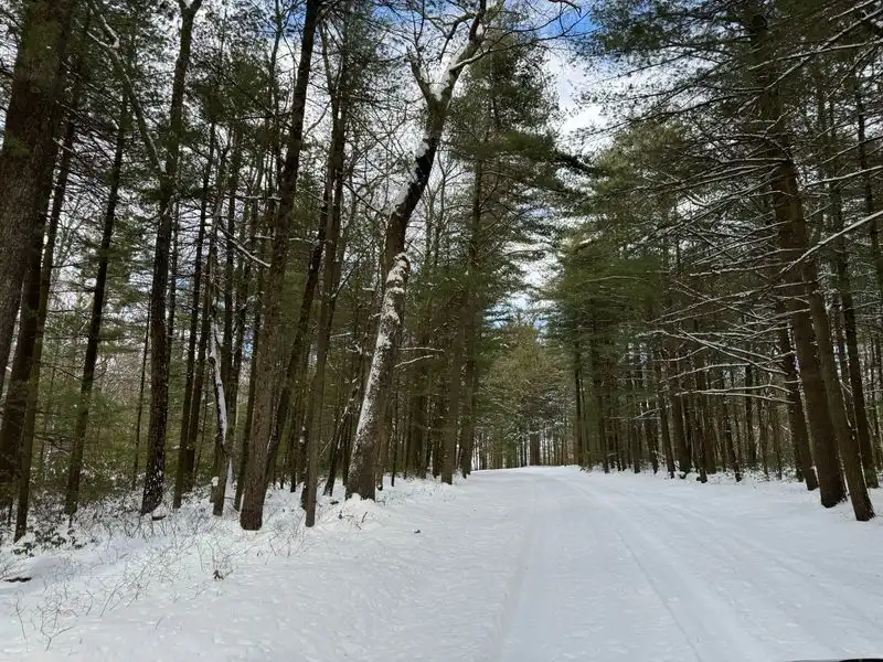 Rothrock State Forest
