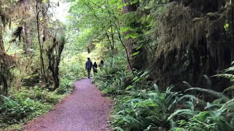 Lake Quinault, Washington