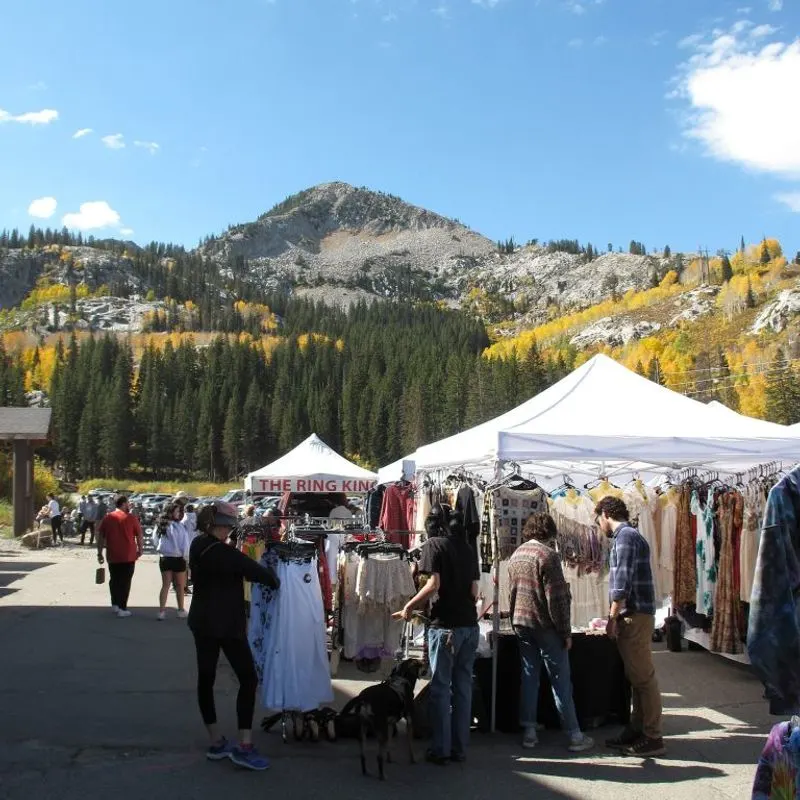 Big Cottonwood Canyon Flea Market - Brighton