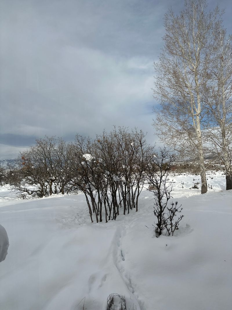 Lake Creek Farms Park