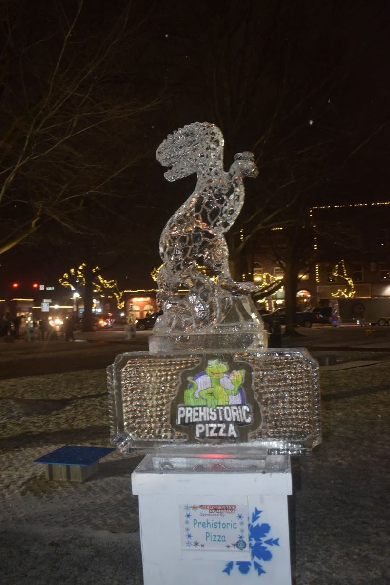 Medina Ice Festival