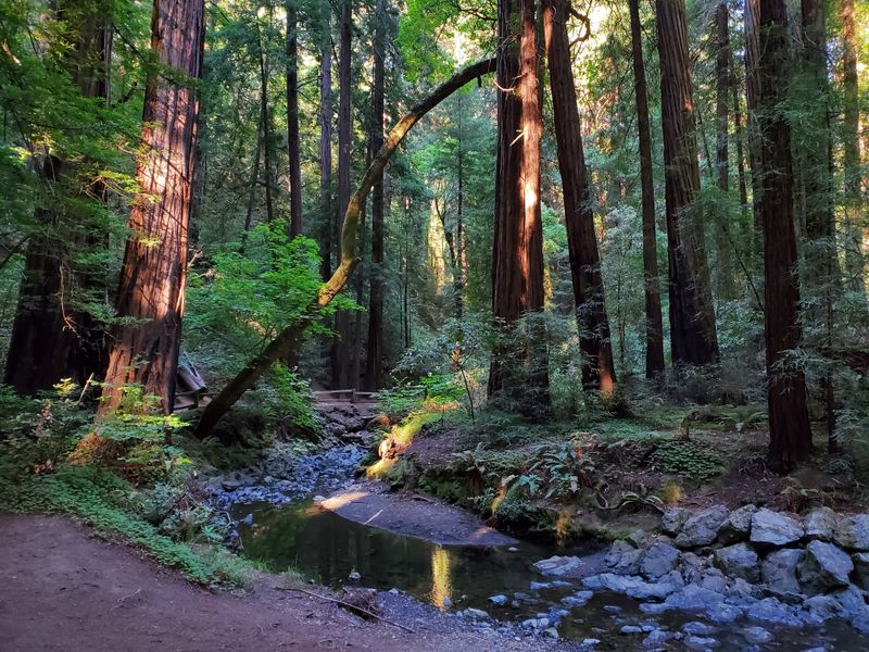 Why This Short Walk Lasts