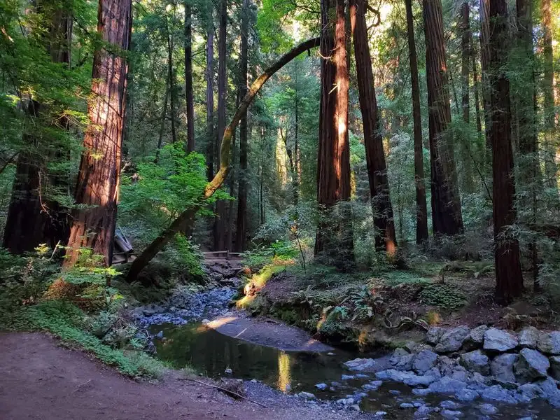 Why This Short Walk Lasts