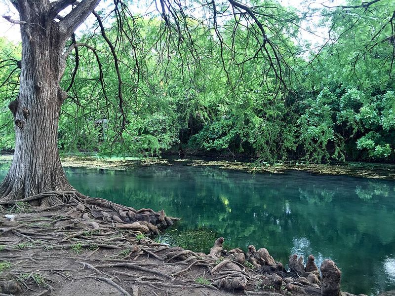 The San Marcos River: A Natural Centerpiece