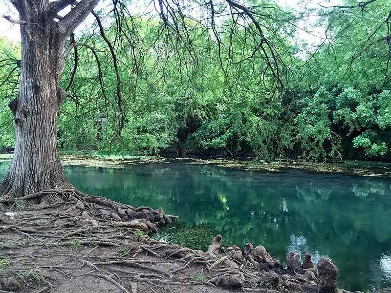 The San Marcos River: A Natural Centerpiece