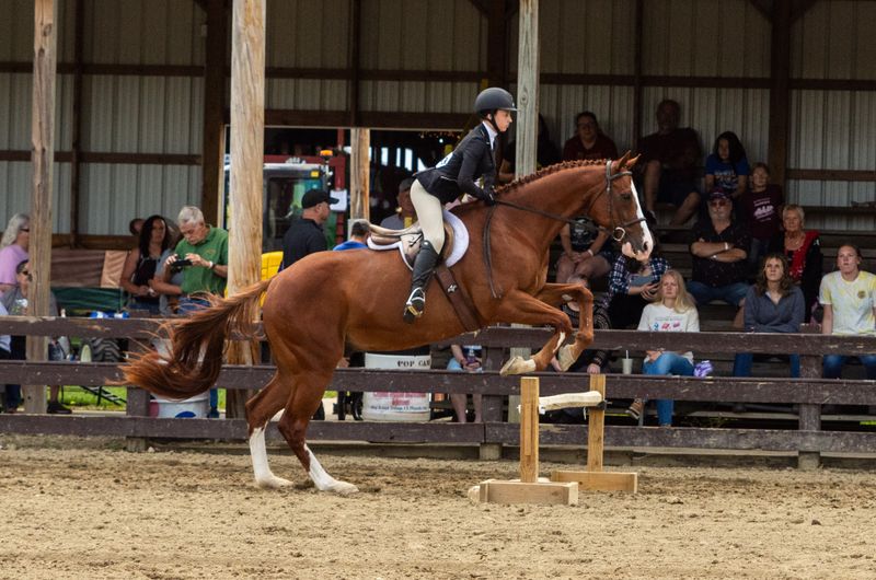 Warren County Fair
