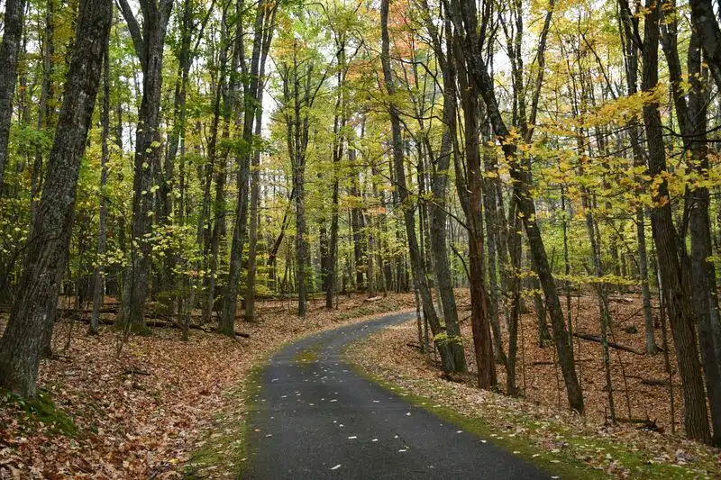 Night skies and the kind of quiet you remember