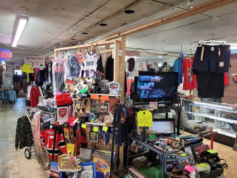 Spotting Quality vs Junk