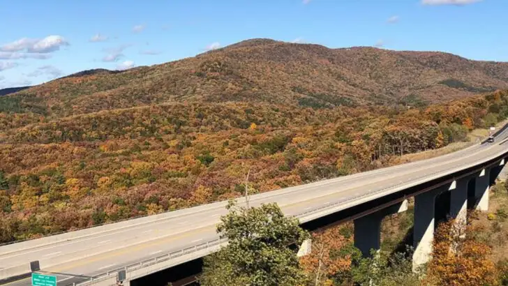 West Virginia hollows I passed through on a snowy evening and haven’t stopped thinking about