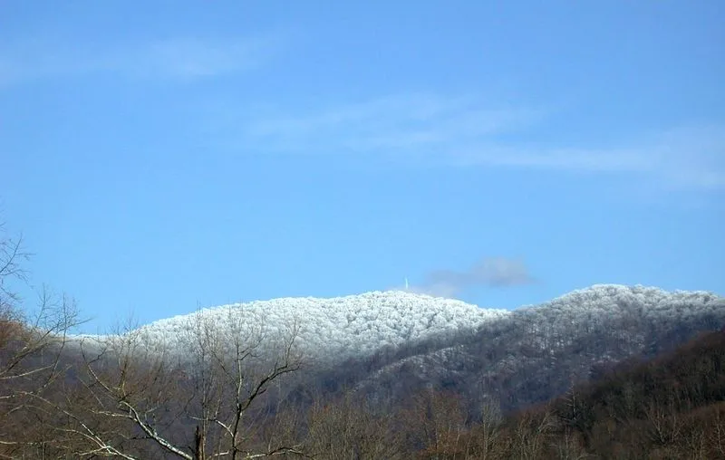 The Story Behind the Name Frozen Head