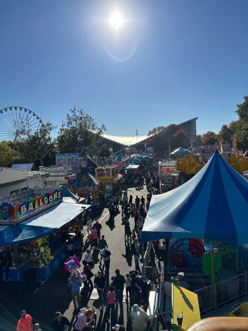 Hours and best arrival times