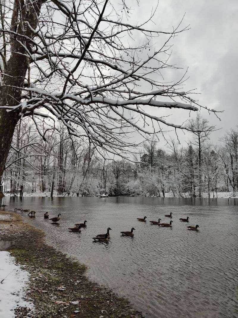 Townsend (Blount County)