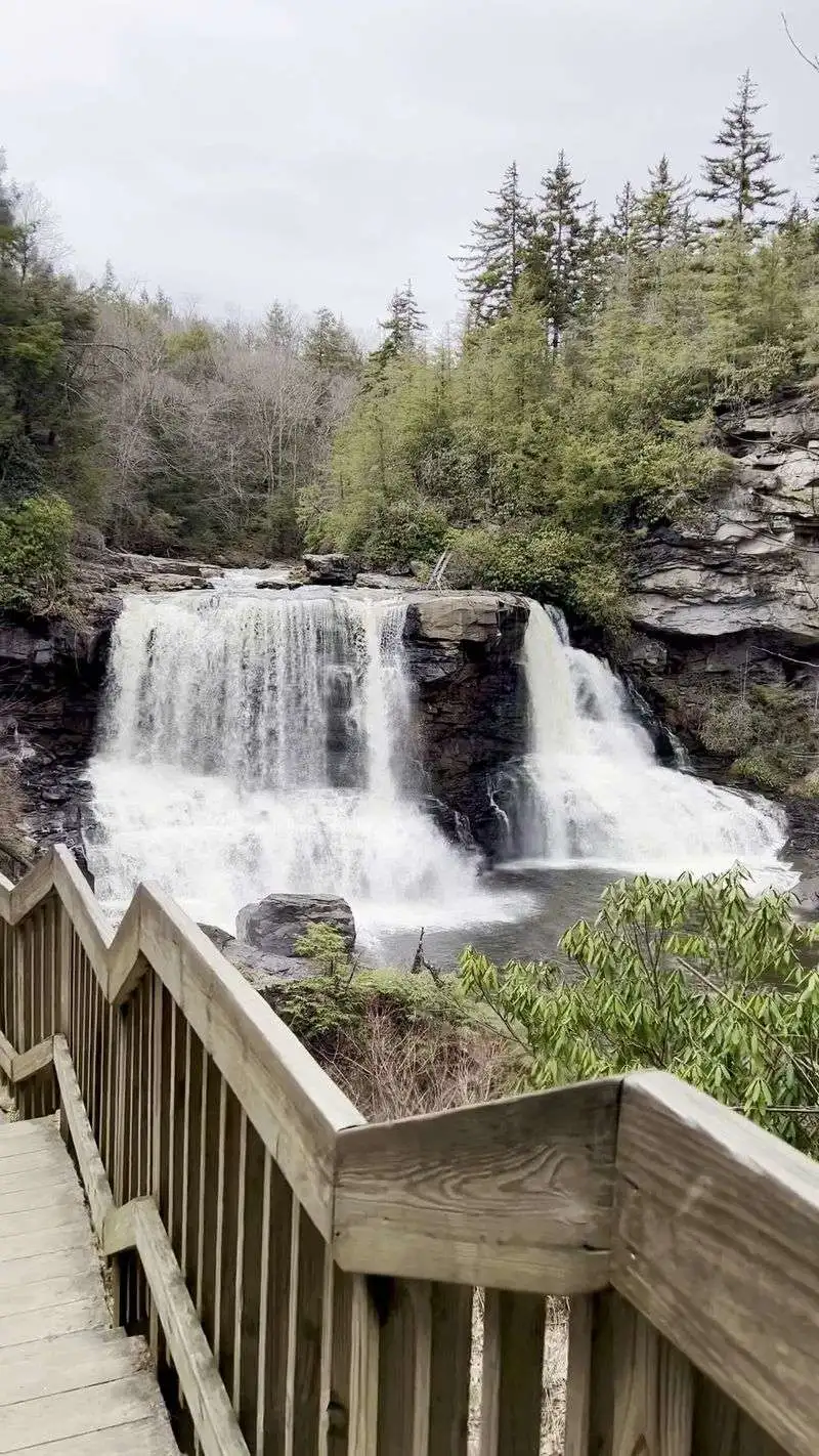 Blackwater Falls State Park & Boardwalk
