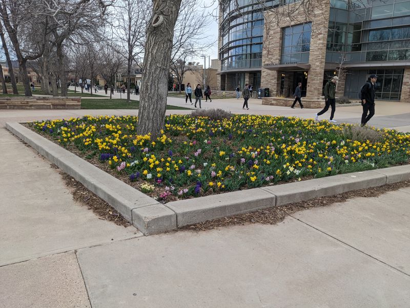 Conclusion: A Colorado City That Feels Like Home