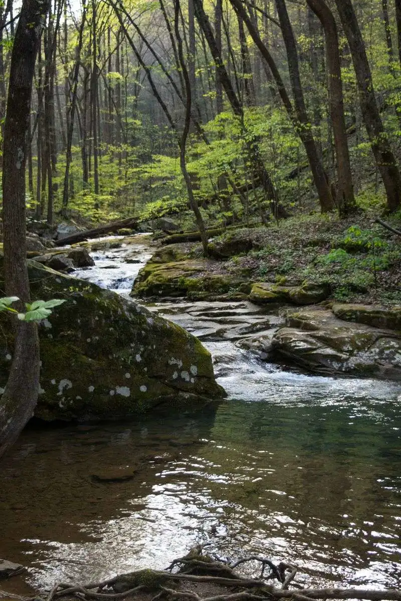 Why The Park Feels So Quiet