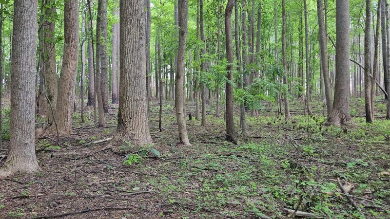 Stories written in the land