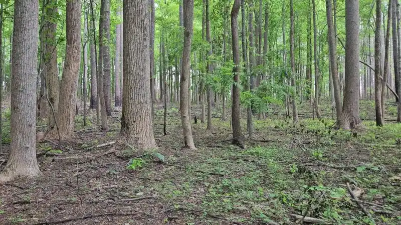 Stories written in the land