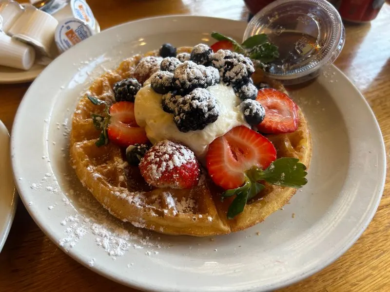 Sunflower Bakery & Cafe