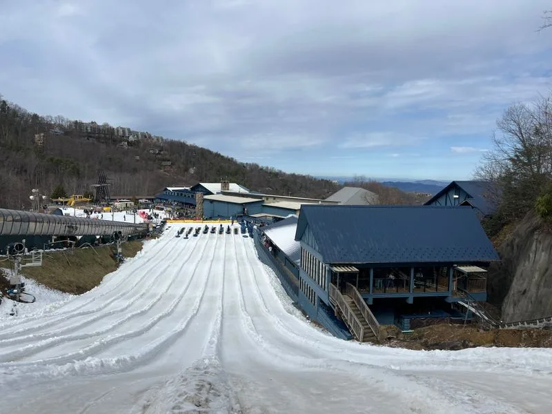 Affordable Travel and Easier Reservations