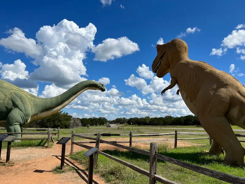 Dinosaur Valley State Park Footprints, Glen Rose