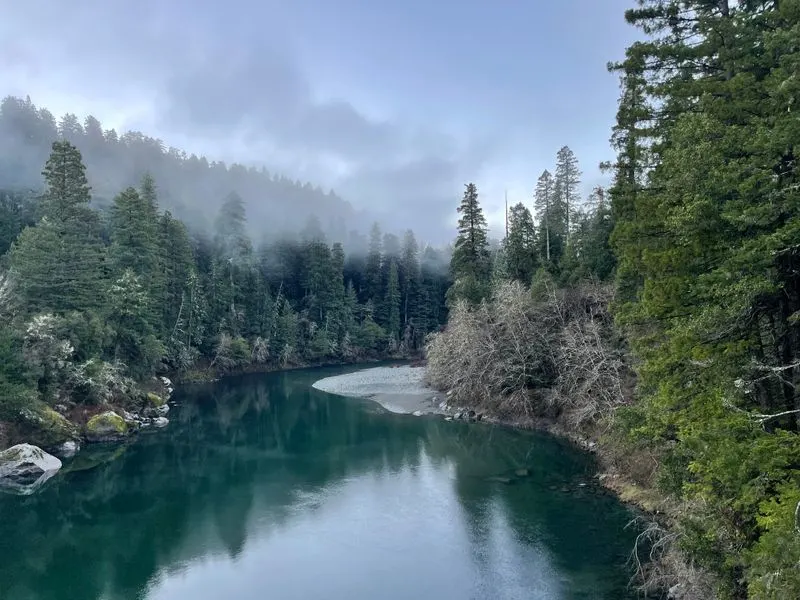 Redwood National and State Parks