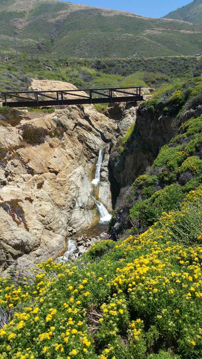 Big Sur Coastal Pullouts and Garrapata State Park
